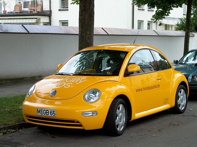 Beetle 01
